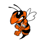 Mineola MS Sound of the Swarm Band Logo