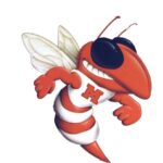 Mineola MS Sound of the Swarm Band Logo