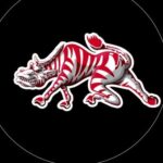 Pine Bluff HS Zebras Band Logo