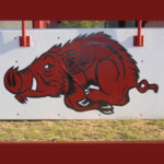 Arkansas HS and MS Cheer Logo