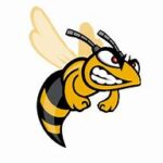 New Summerfield Hornet Athletics Logo