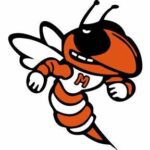 Mineola MS Sound of the Swarm Band Logo