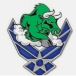 Pearsall High School Air Force JROTC Logo