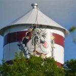 Avery Bulldogs Secondary School Logo