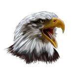 Harmony Eagles Girls Athletics Logo